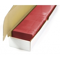 Blank plastic cards (red)